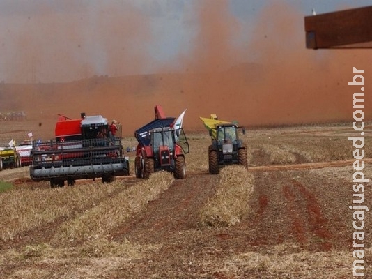 IBGE reduz em 0,4% previsão de safra de grãos para 2018