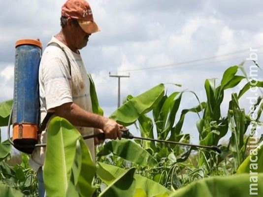 Mal que não se vê: estudo liga uso de agrotóxicos a tentativas de suicídio em MS Mal que não se vê: estudo liga uso de agrotóxicos a tentativas de suicídio em MS