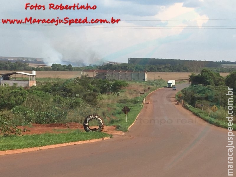 Maracaju: Incêndio em área rural próximo a BR-267, coloca Corpo de Bombeiros em ação com apoio da Polícia Militar