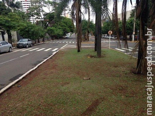 Motorista dorme em carro, bate em árvore do canteiro central e acaba preso por dirigir embriagado