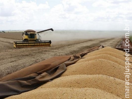 MS tem dois municípios entre os 20 maiores produtores de soja do país MS tem dois municípios entre os 20 maiores produtores de soja do país