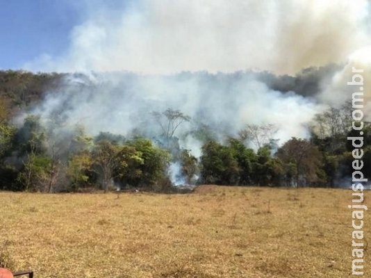 No 13º dia, incêndio em reserva no leste de MS é controlado No 13º dia, incêndio em reserva no leste de MS é controlado