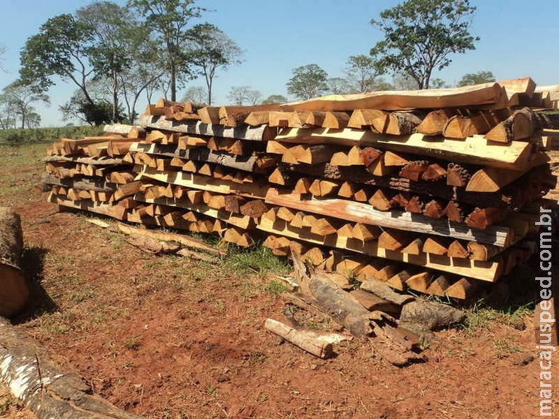 Produtor rural é multado por armazenar madeira nativa ilegalmente Produtor rural é multado por armazenar madeira nativa ilegalmente