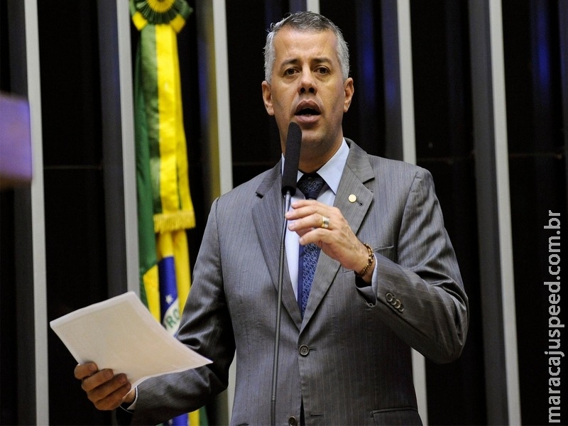 Proposta institui a Política Nacional de Incentivo à Vitinicultura Proposta institui a Política Nacional de Incentivo à Vitinicultura