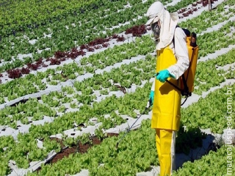 Resistência de plantas daninhas já causa prejuízos bilionários ao agronegócio Resistência de plantas daninhas já causa prejuízos bilionários ao agronegócio