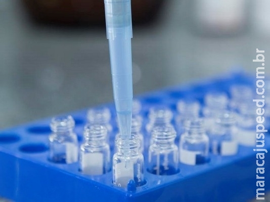 Sistema eletrônico de produtos veterinários traz segurança ao mercado Sistema eletrônico de produtos veterinários traz segurança ao mercado