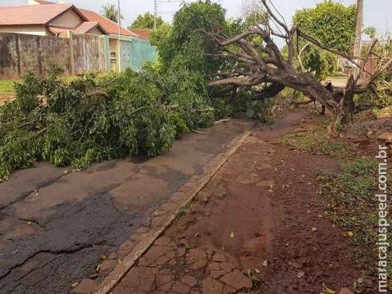 Após temporal, 8 bairros continuam sem energia elétrica em Campo Grande Após temporal, 8 bairros continuam sem energia elétrica em Campo Grande