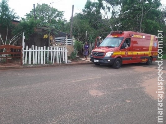Bombeiros socorrem catadora que diz ter sido picada por cobra Bombeiros socorrem catadora que diz ter sido picada por cobra