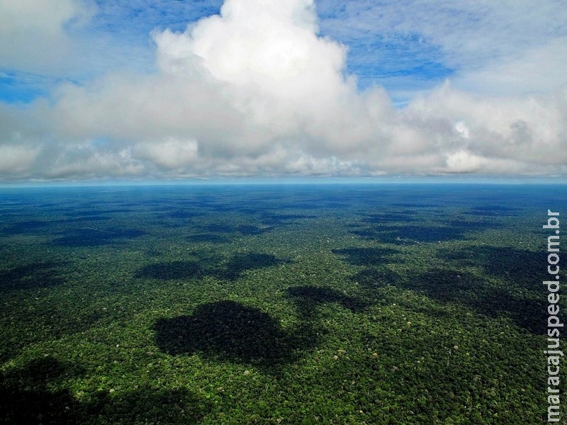 Brasil terá centro de síntese em biodiversidade até o fim do ano Brasil terá centro de síntese em biodiversidade até o fim do ano