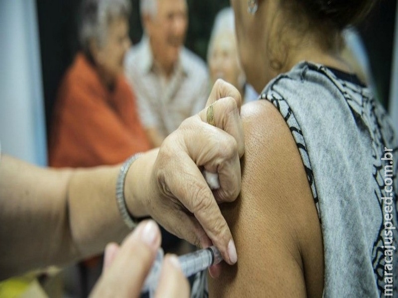 Casos de febre amarela chegam a 1,3 mil Casos de febre amarela chegam a 1,3 mil