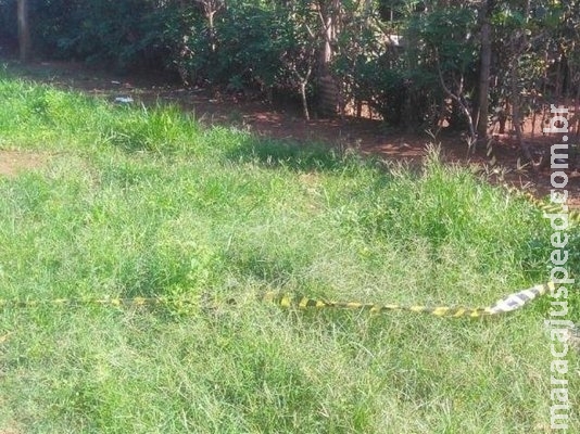 Catadora de recicláveis assassinada no Caiobá tinha 43 anos
