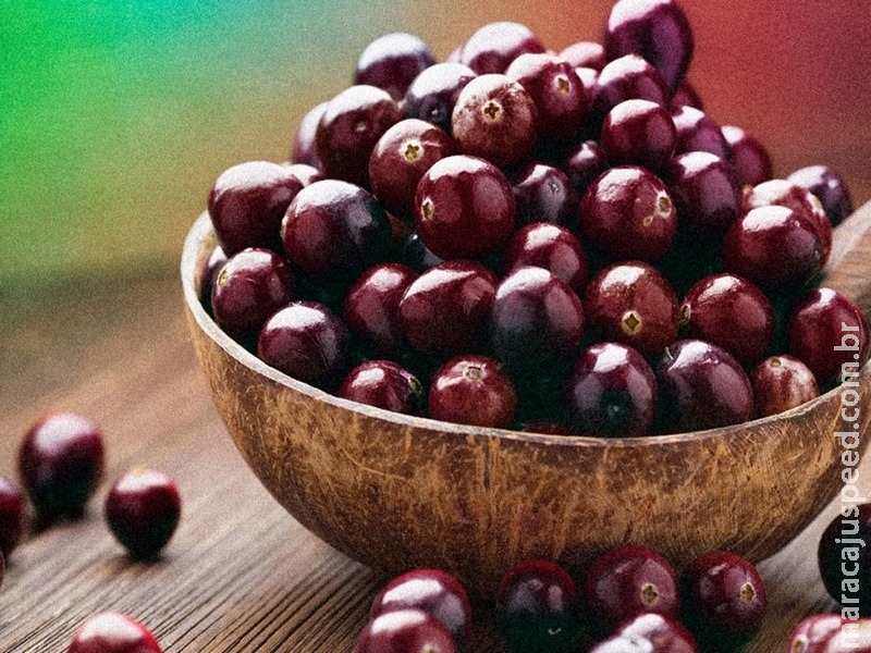 CNA e Apex-Brasil organizam missão para divulgar lácteos e frutas na China CNA e Apex-Brasil organizam missão para divulgar lácteos e frutas na China