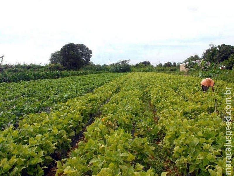 Consumidores não acham que produção de alimento ameace o meio ambiente Consumidores não acham que produção de alimento ameace o meio ambiente