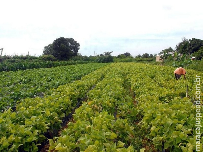 Consumidores não acham que produção de alimento ameace o meio ambiente