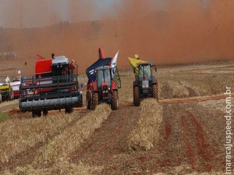 Contratos do Plano Agrícola e Pecuário sobem 32% no terceiro trimestre Contratos do Plano Agrícola e Pecuário sobem 32% no terceiro trimestre