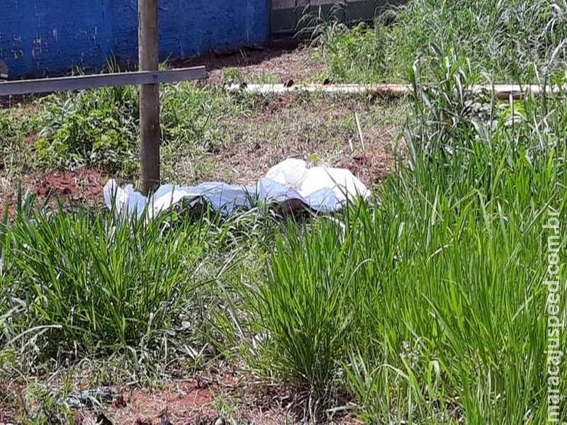 Corpo de homem é encontrado em terreno baldio Corpo de homem é encontrado em terreno baldio