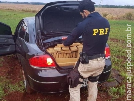 Homem tenta fugir da polícia, mas acaba preso com 392 kg de maconha