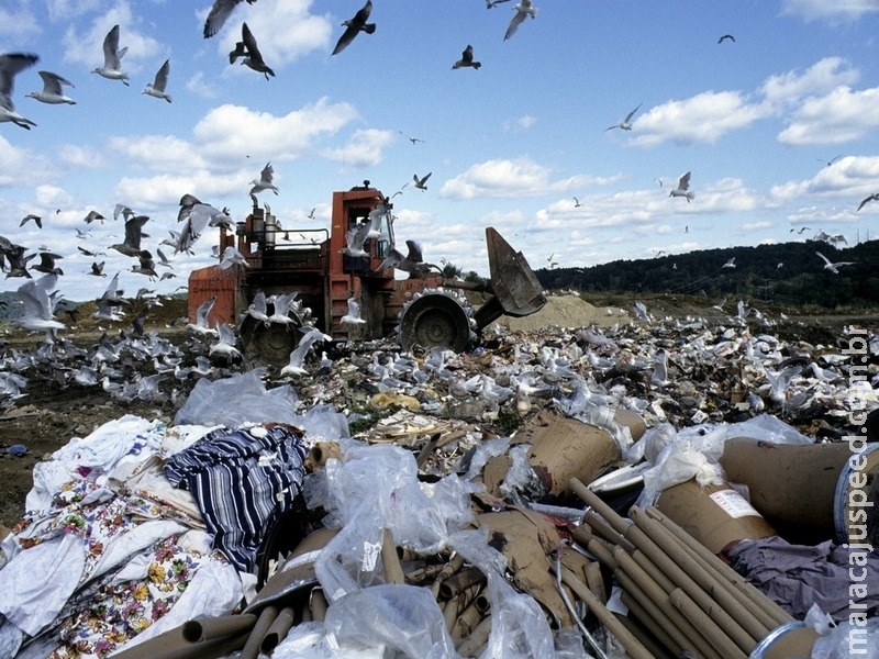 Humanidade produz mais de 2 bilhões de toneladas de lixo por ano, diz ONU em dia mundial