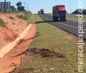 Motorista morre e passageiro fica ferido em capotagem na BR-163 Motorista morre e passageiro fica ferido em capotagem na BR-163