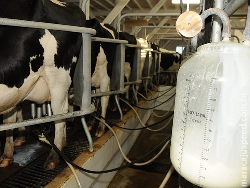 Pecuária de leite apresenta estagnação em 2018 após crescimento de 5% em 2017
