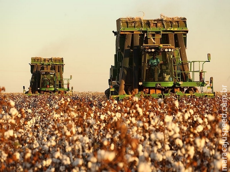 Projetos de reforma de agroindústrias podem receber benefícios