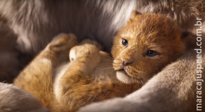 As datas de lançamento dos filmes da Disney em 2019 As datas de lançamento dos filmes da Disney em 2019