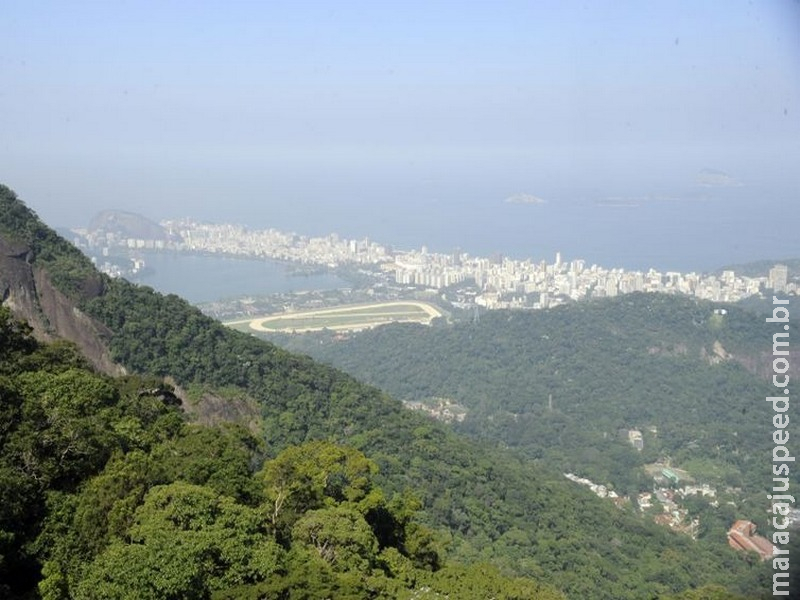 Brasil pode ser líder em desenvolvimento sustentável, dizem cientistas Brasil pode ser líder em desenvolvimento sustentável, dizem cientistas