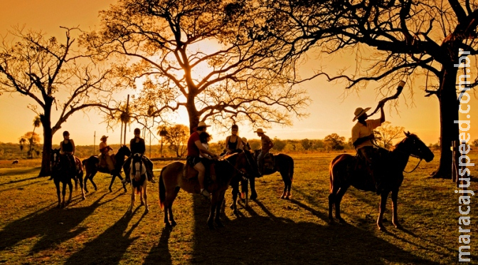 Cavalgadas são aventura certa para viver um pouco da cultura do homem pantaneiro Cavalgadas são aventura certa para viver um pouco da cultura do homem pantaneiro
