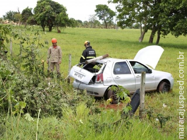 Condutor perde controle, derruba árvore e só para ao arrombar cerca