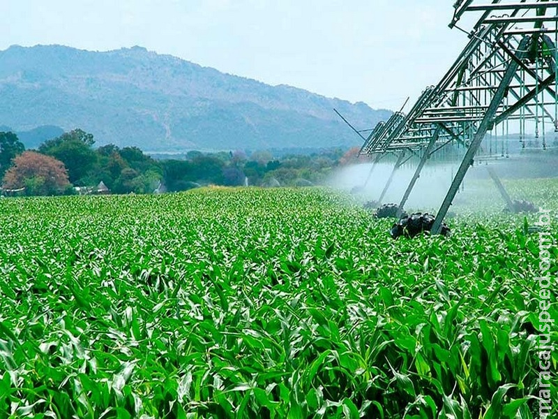 CRA analisa ampliação de desconto na energia para irrigação e aquicultura CRA analisa ampliação de desconto na energia para irrigação e aquicultura