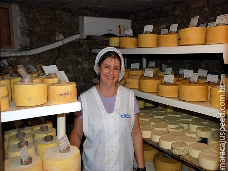 CRA analisa projeto sobre produção de queijo artesanal CRA analisa projeto sobre produção de queijo artesanal