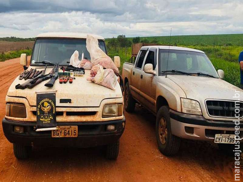 DOF prende sete pessoas por porte ilegal de arma de fogo e prática de caça ilegal DOF prende sete pessoas por porte ilegal de arma de fogo e prática de caça ilegal