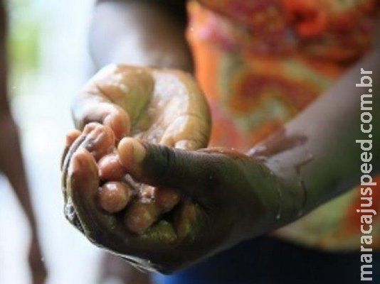 Em 11 meses, gripe matou 33 pessoas em MS; 450% a mais que em 2017 Em 11 meses, gripe matou 33 pessoas em MS; 450% a mais que em 2017