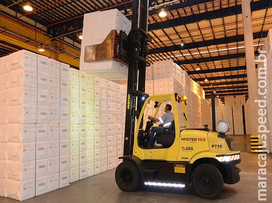Exportações de celulose e óleos vegetais de MS já acumulam alta de até 87% no ano Exportações de celulose e óleos vegetais de MS já acumulam alta de até 87% no ano