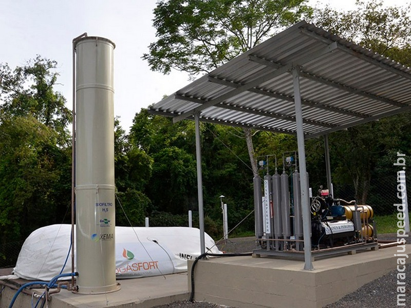 Filtro feito com bactérias purifica biogás para uso veicular Filtro feito com bactérias purifica biogás para uso veicular