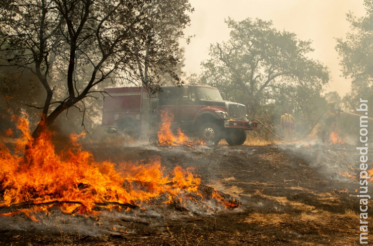Homem causa incêndio florestal em evento para revelar sexo de bebê Homem causa incêndio florestal em evento para revelar sexo de bebê