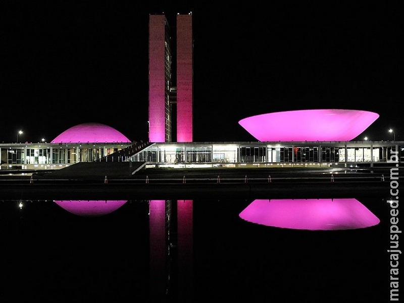 Lei oficializa campanha Outubro Rosa em órgãos federais Lei oficializa campanha Outubro Rosa em órgãos federais