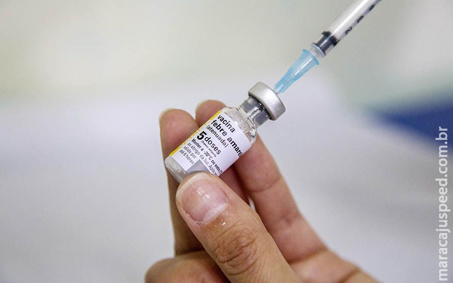 Ministério pede imunização contra febre amarela antes do verão