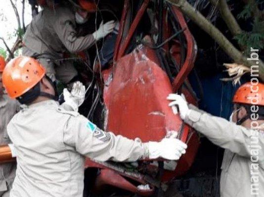 Motorista fica preso às ferragens ao bater caminhão em árvores na BR-262 Motorista fica preso às ferragens ao bater caminhão em árvores na BR-262
