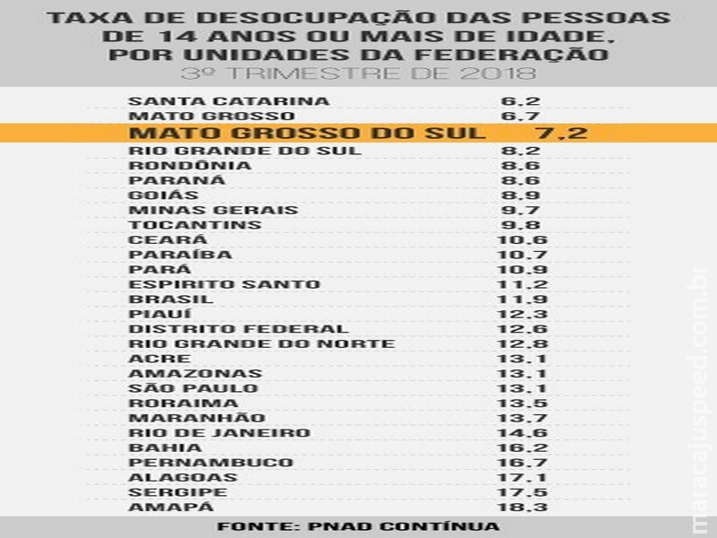 MS tem a terceira maior taxa de trabalhadores produzindo, aponta BGE MS tem a terceira maior taxa de trabalhadores produzindo, aponta BGE