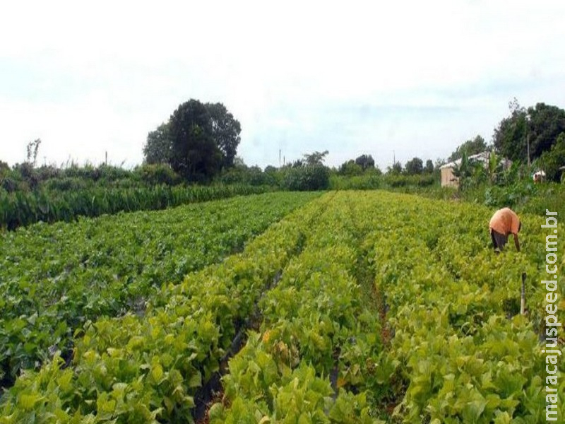 Novo prazo para aderir ao Refis Rural vai até 31 de dezembro