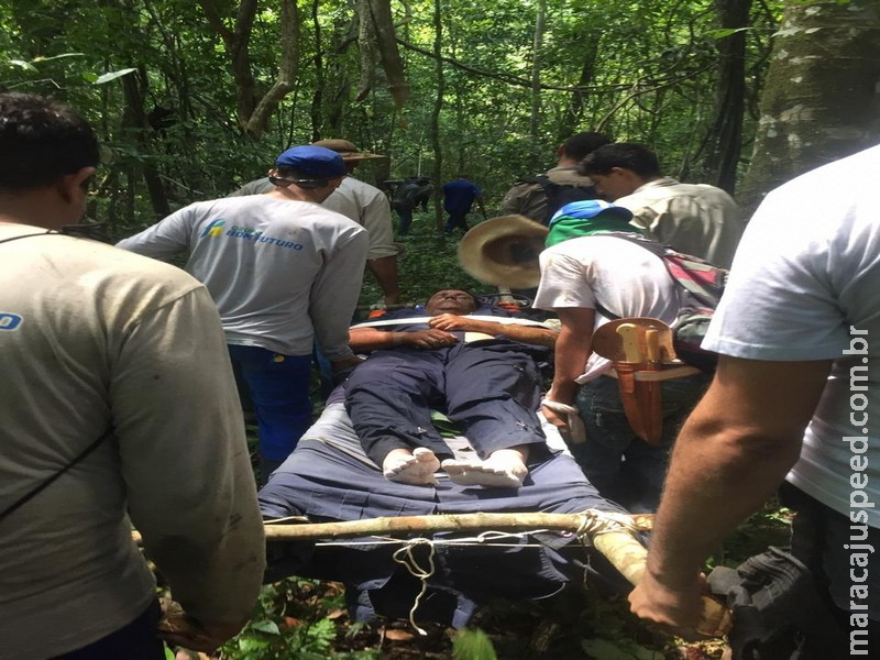 Piloto se perdeu em mata após queda de avião, se alimentou de bolachas e usou capacete como proteção