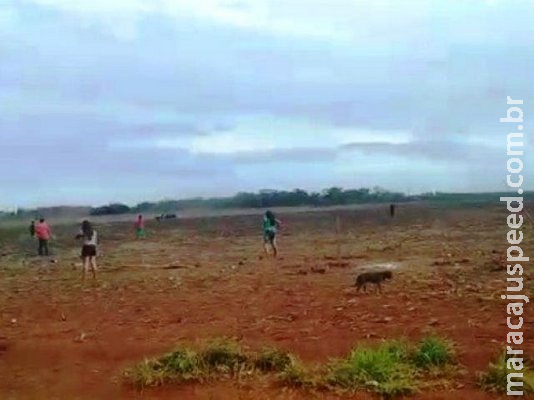 Tensão entre índios e sitiantes continua em área perto de aldeia Tensão entre índios e sitiantes continua em área perto de aldeia