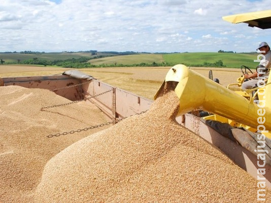 Valor da Produção Agropecuária é de R$ 578,2 bilhões Valor da Produção Agropecuária é de R$ 578,2 bilhões