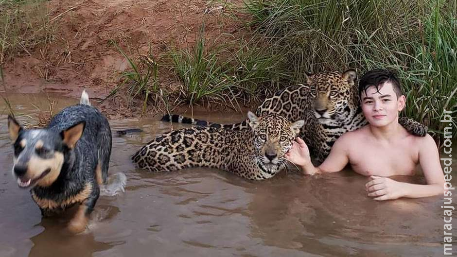  A história por trás da foto viral de um menino na lagoa com duas onças