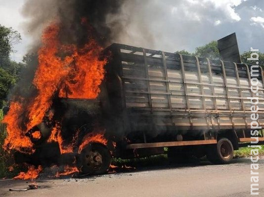 Caminhão pega fogo e motorista é obrigado a soltar animais na MS-276 Caminhão pega fogo e motorista é obrigado a soltar animais na MS-276