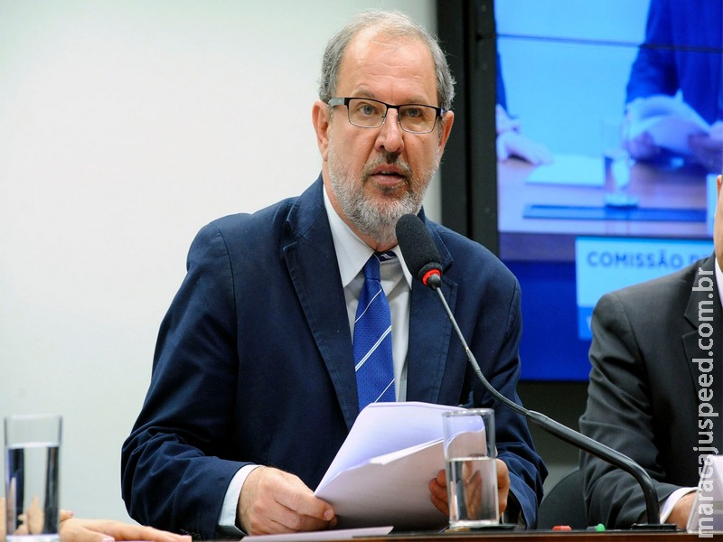 Comissão aprova projeto que obriga pet shop a ter circuito interno de câmeras Comissão aprova projeto que obriga pet shop a ter circuito interno de câmeras