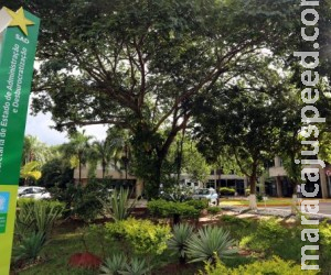 Concursos públicos estaduais previstas para este ano foram confirmados para início de 2019 Concursos públicos estaduais previstas para este ano foram confirmados para início de 2019