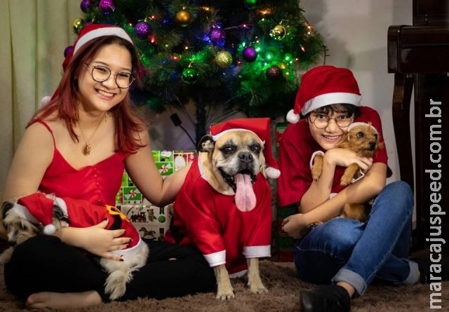 De tanta fofura, foto com os pets é melhor que presente na árvore de Natal