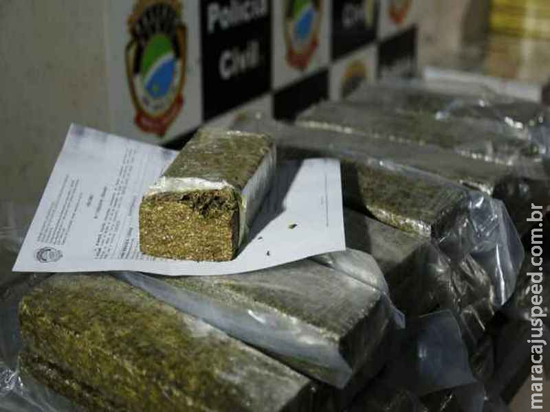 ‘Família do crime’: mãe, filho e sobrinho são presos com droga, revólver e carros roubados ‘Família do crime’: mãe, filho e sobrinho são presos com droga, revólver e carros roubados